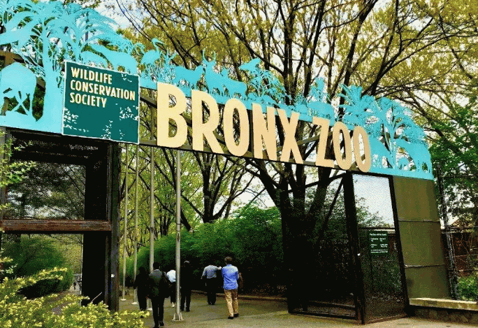 全球七大動物園排名 聖地亞哥動物園美國最大,第二無柵欄