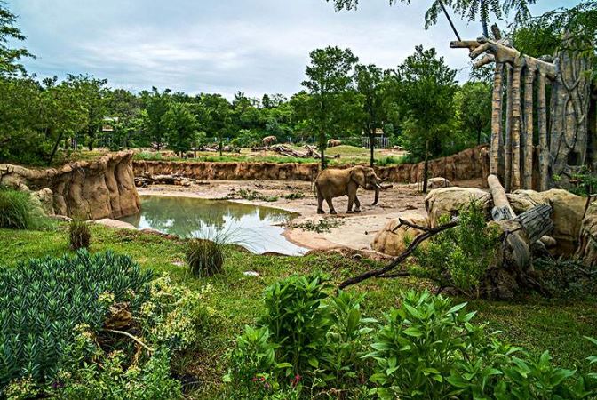 世界最著名十大動物園赫爾辛基位列第一中國無一上榜