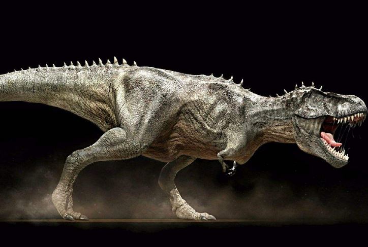 十大最强恐龙 食肉图片