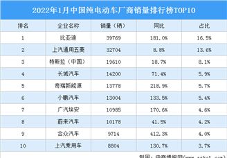 2022年1月中国纯电动车厂商销量排行榜TOP10