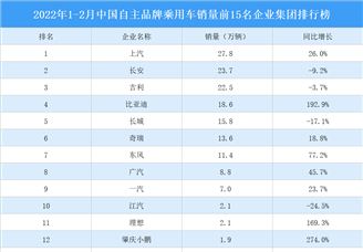 2022年1-2月中国自主品牌乘用车销量前15名企业集团排行榜（附榜单）